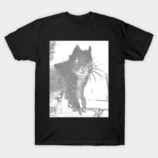 Squirrel stare T-Shirt